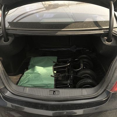 Vrije tijd die Groene het Nutswagen van de Strandwagen met Luchtwiel 80kgs vouwen